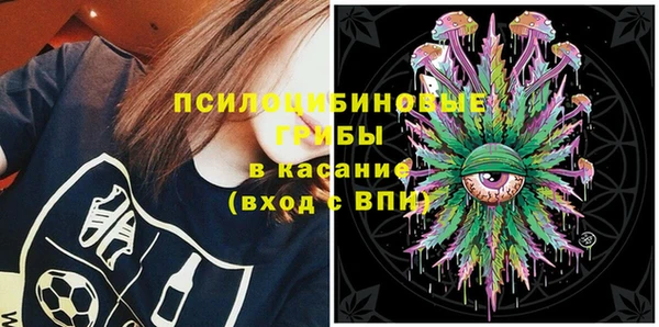 гидра Зеленодольск
