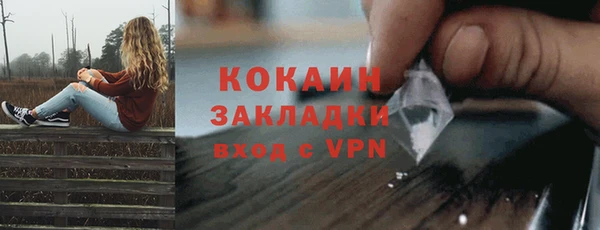 СК Зерноград
