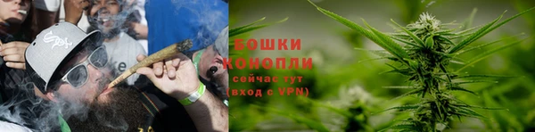 гидра Зеленодольск