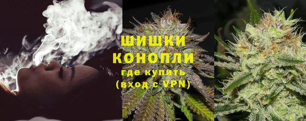 СК Зерноград