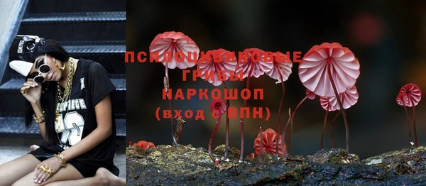 СК Зерноград