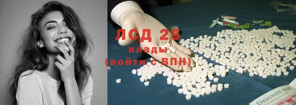 гидра Зеленодольск