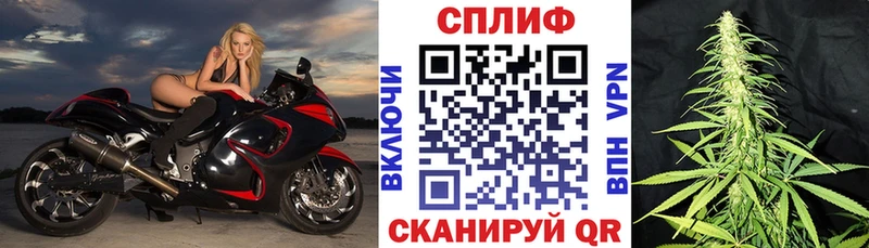 Купить где  Сясьстрой  Канабис конопля 